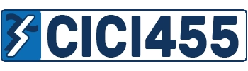 CICI455